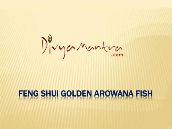 Feng Shui Golden Arowana Fish