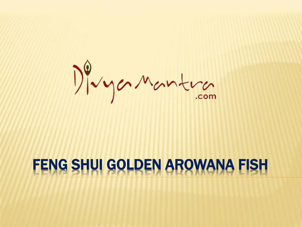 feng shui golden arowana fish