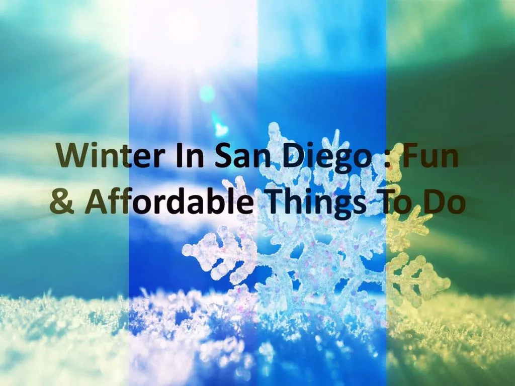 winter in san diego fun affordable things to do