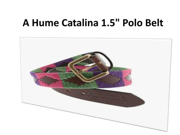 A Hume Catalina 1.5 Polo Belt