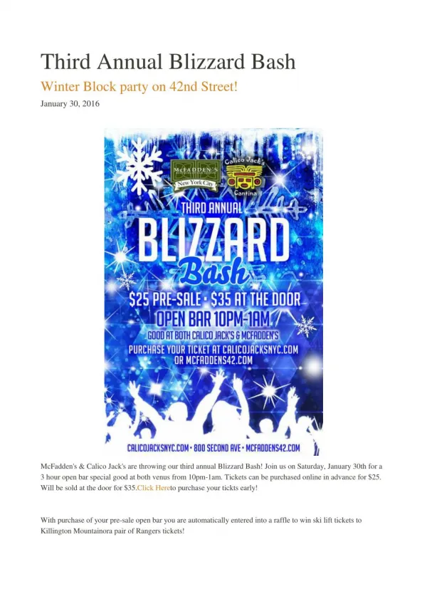 Third Annual Blizzard Bash - McFaddens NYC