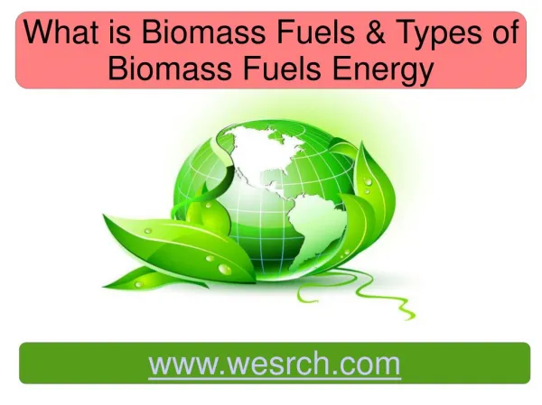 What is Biomass Fuels & Types of Biomass Fuels Energy