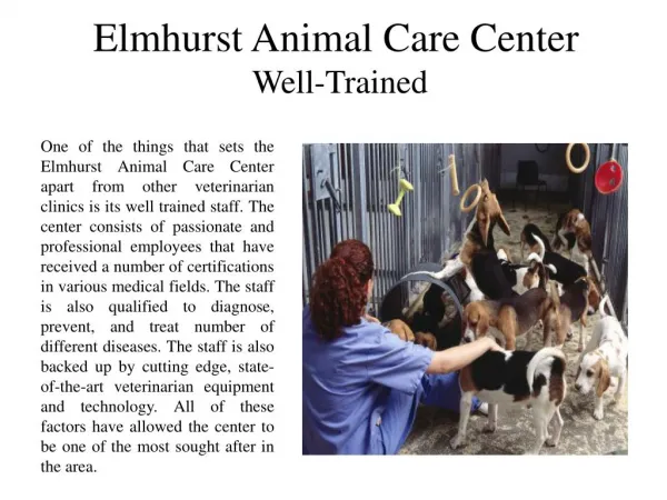 Elmhurst Animal Care Center Well-Trained