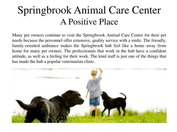 Springbrook Animal Care Center A Positive Place