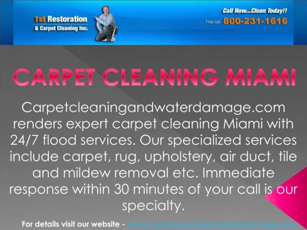 Best carpet cleaning services in Miami at carpetcleaningandwaterdamage.com