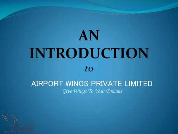 Introduction To Airport Wings