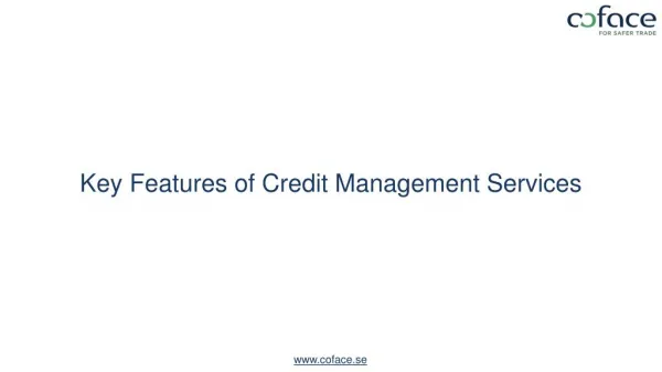 Key Features of Credit Management Services