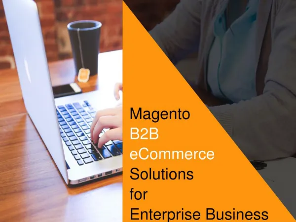 Magento B2B eCommerce Solutions for Enterprise Business