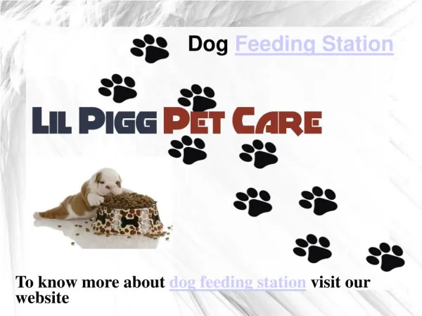 Dog Feeding Station