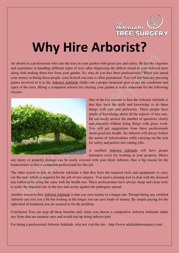 Why Hire Arborist