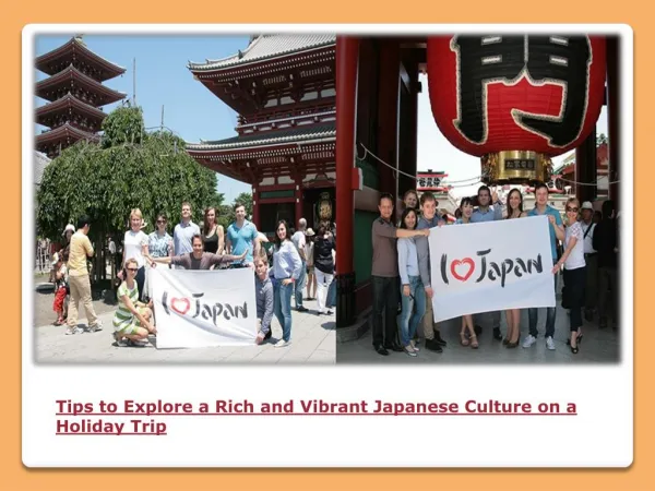 Tailor made tours in Japan