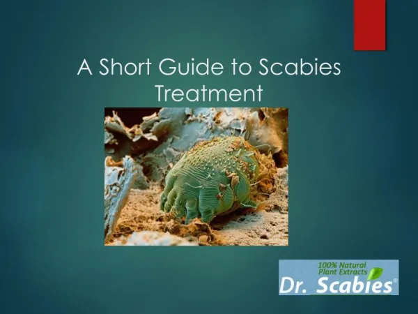 A short guide to scabies treatment 2016