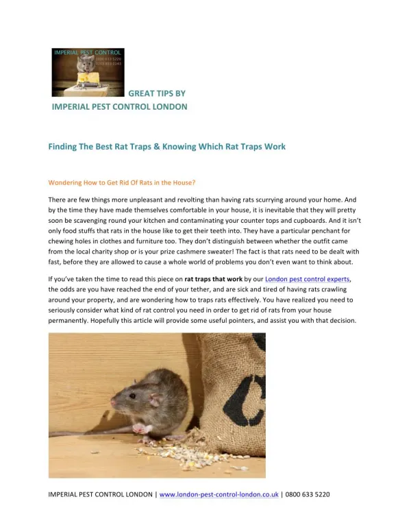 Finding The Best Rat Traps & Knowing Which Rat Traps Work