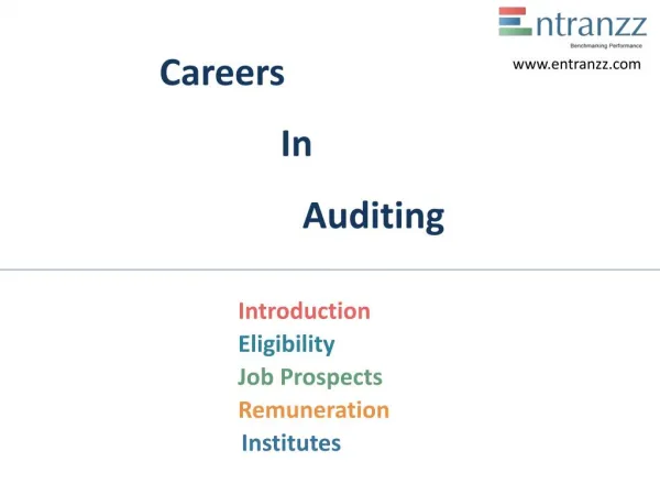 Careers In Auditing