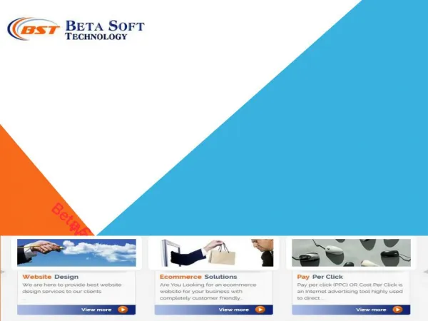 Web Development | Website Designing Services | Website Services - Beta Soft Technology