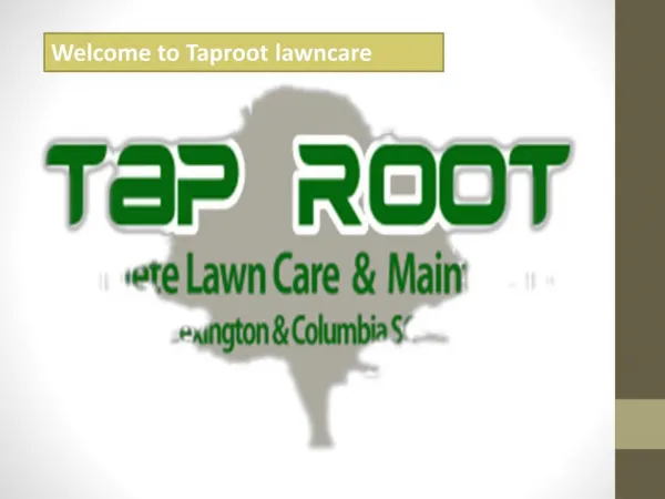 Welcome to Taproot lawncare