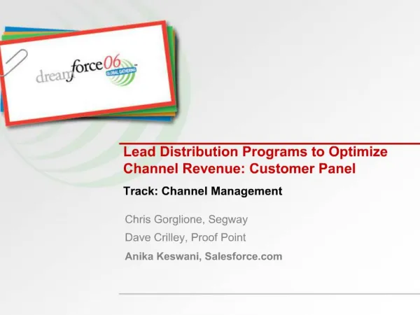 Lead Distribution Programs to Optimize Channel Revenue: Customer Panel