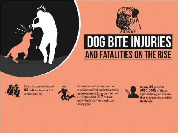 Dog Bite Injuries and Fatalities on the Rise