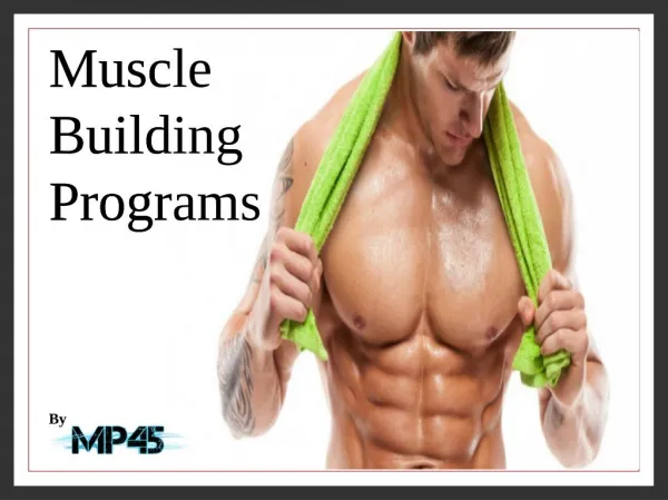 Muscle Building Programs