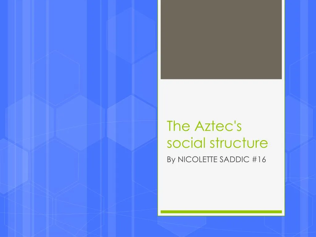 the aztec s social structure