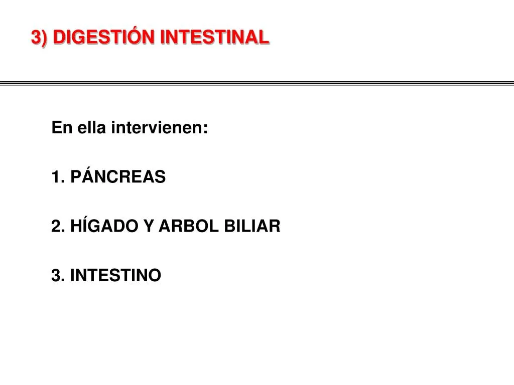 3 digesti n intestinal