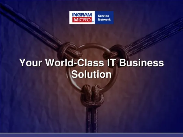 Your World-Class IT Business Solution