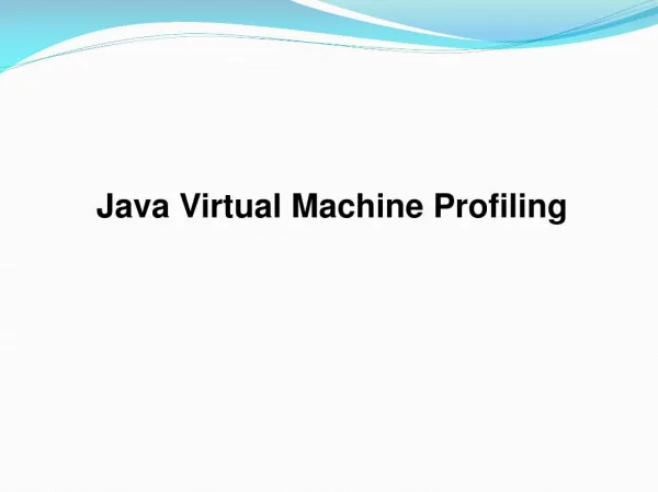 Java Virtual Machine Profiling