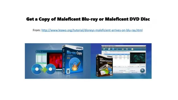 Get a copy of maleficent blu ray or maleficent dvd disc