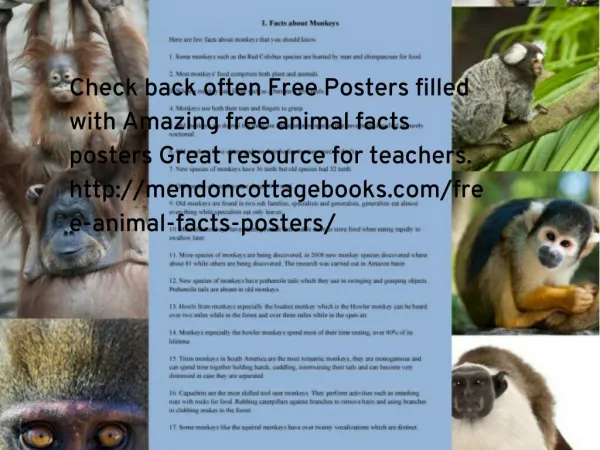 free animal facts posters