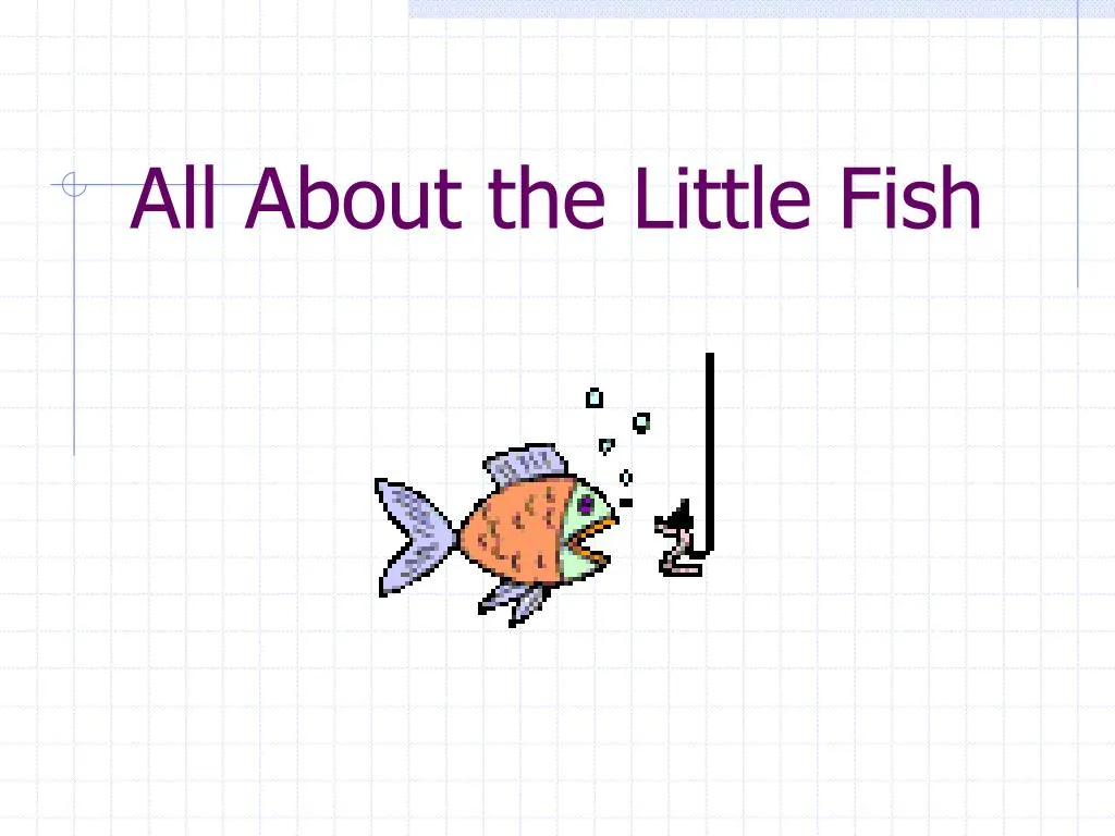 all about the little fish