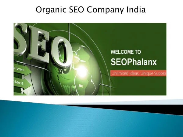 Organic SEO Company India