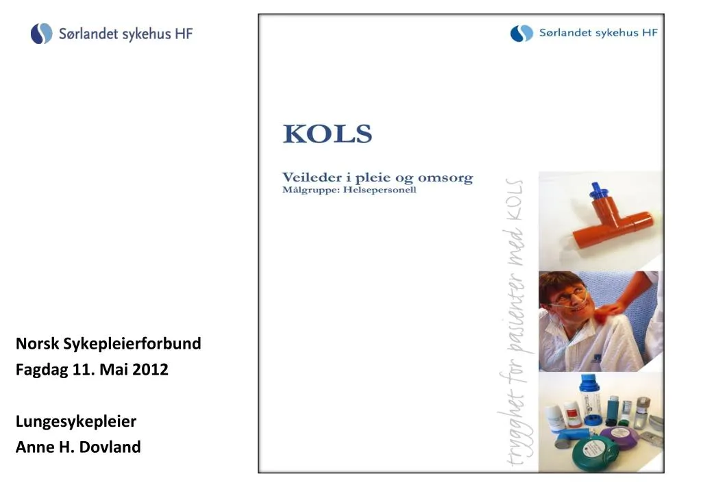 norsk sykepleierforbund fagdag 11 mai 2012 lungesykepleier anne h dovland