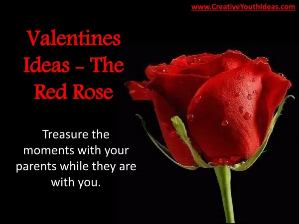 Valentines Ideas - The Red Rose