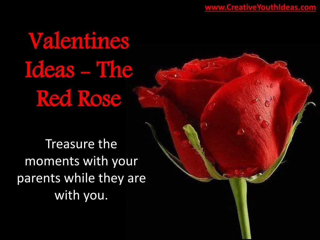 valentines ideas the red rose