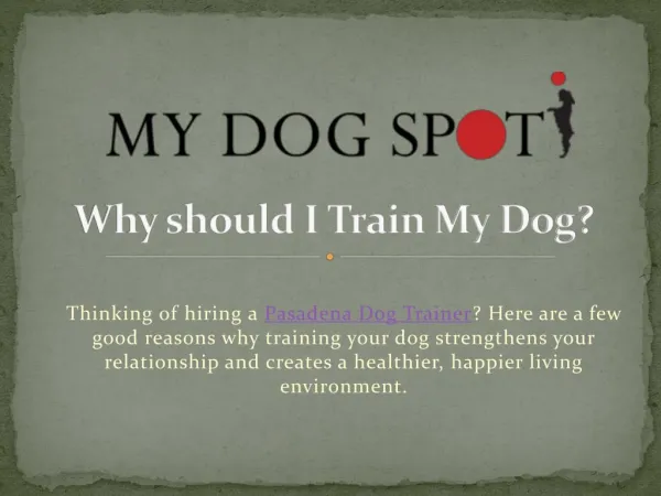 Why should I Train My Dog?