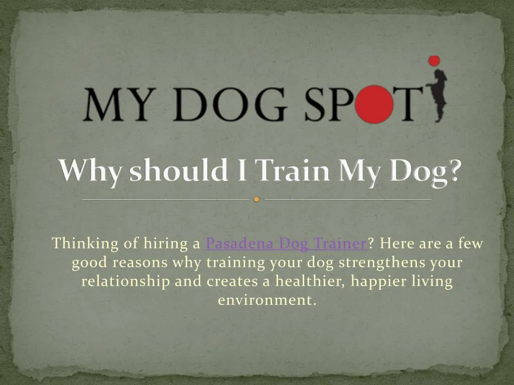 why should i train my dog