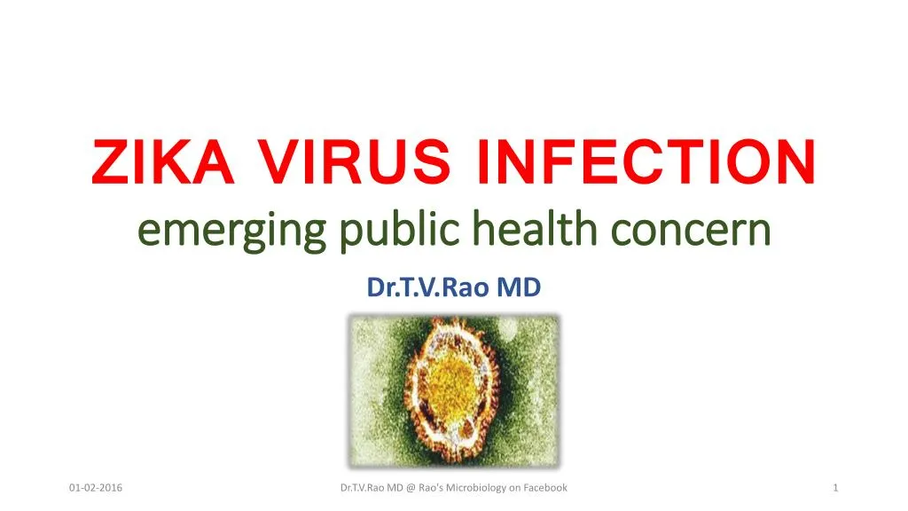 zika virus infection emerging public health concern