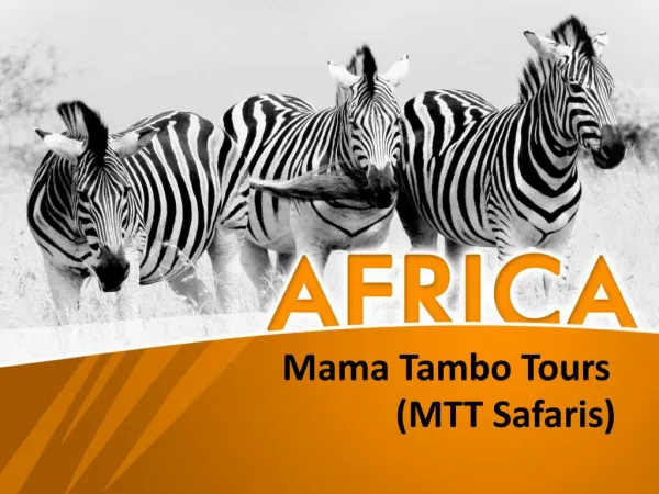 African Wildlife Safaris and Tours | MTT Safaris