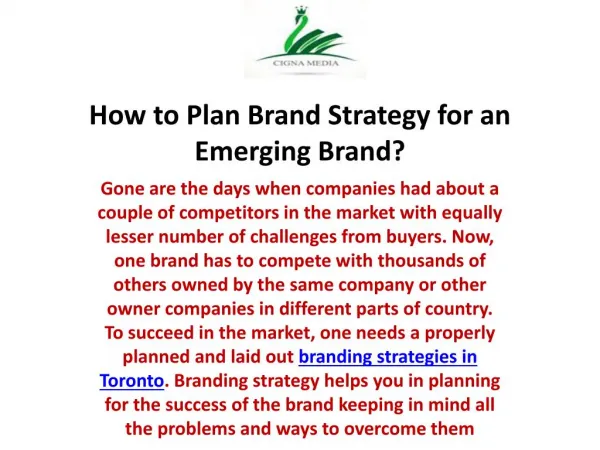 How to Plan Brand Strategy for an Emerging Brand?