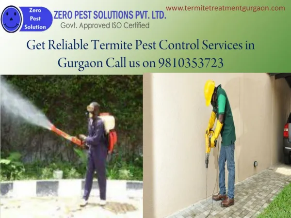 Get Reliable Termite Pest Control Services in Gurgaon Call us on 9810353723
