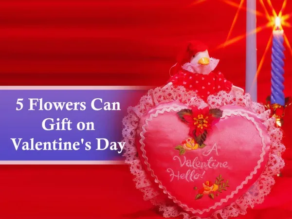5 Flowers Can Gift on Valentine's Day
