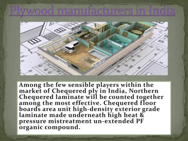 Haryana Industry Manufacturers of Plywood in India