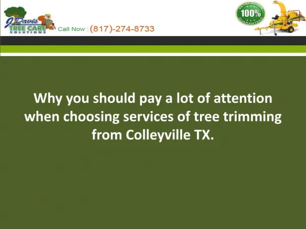 Why you should pay a lot of attention when choosing services of tree trimming from Colleyville TX.