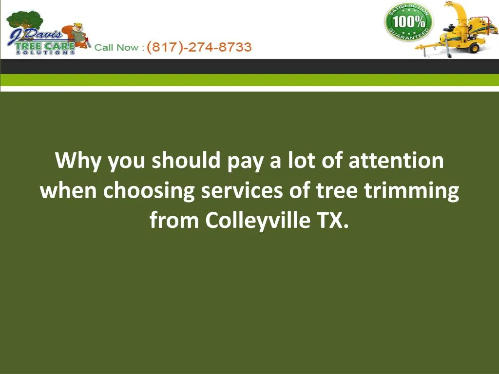 why you should pay a lot of attention when choosing services of tree trimming from colleyville tx