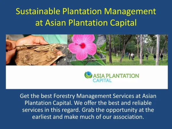 Sustainable Plantation Management at Asian Plantation Capital