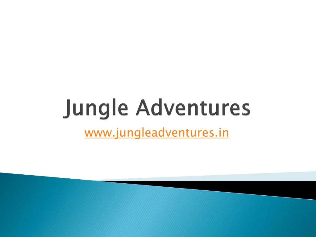 jungle adventures