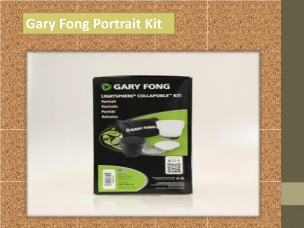 Gary Fong Portrait Kit