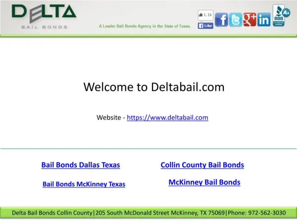 Bail bonds dallas texas