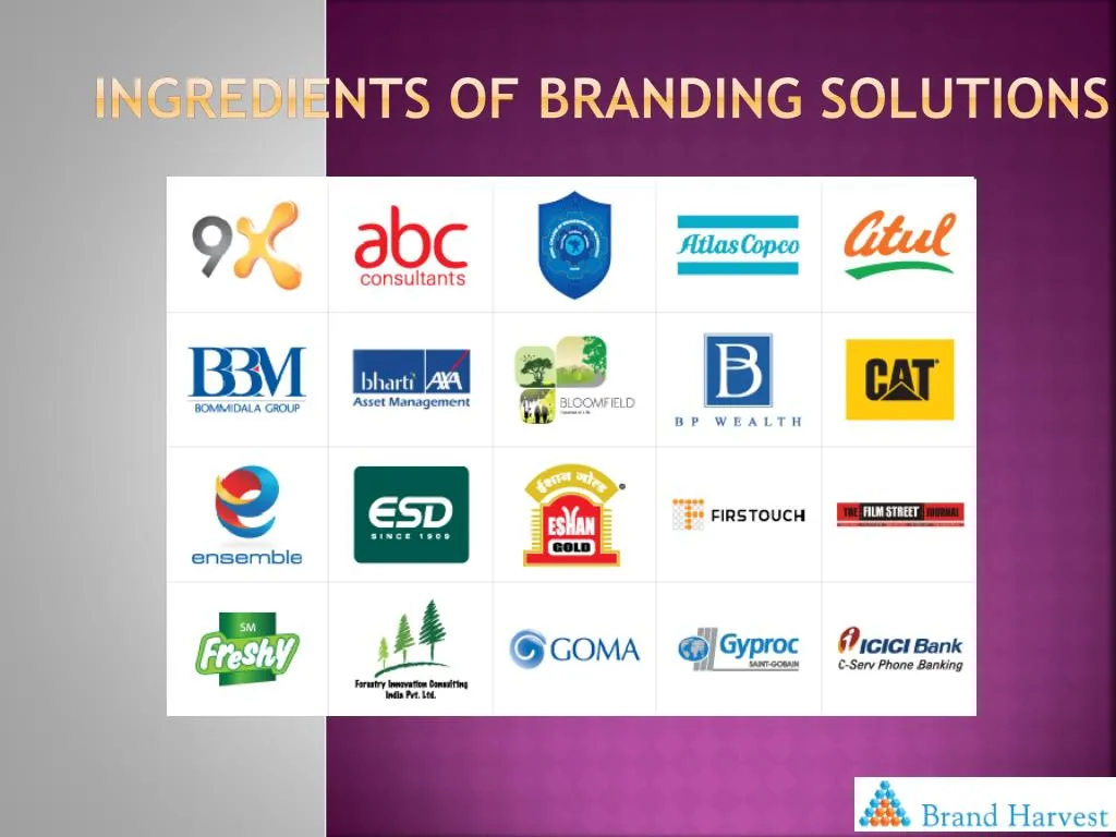 ingredients of branding solutions