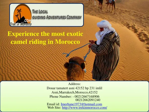 Experience the most exotic camel riding in Morocco